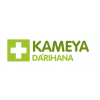 Интернет аптека Kameya. Поиск лекарств в аптеках по Казахстану