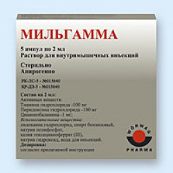 Мильгамма 2 мл №5 р-р д/ин.амп. Мильгамма 2 мл №5 р-р д/ин.амп.