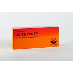 Магнерот® 500 мг №20 табл. Магнерот® 500 мг №20 табл.