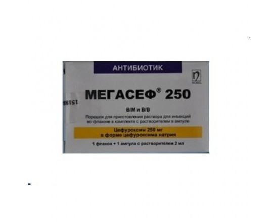 Мегасеф 250 мг №1 пор.д/ин.в/м